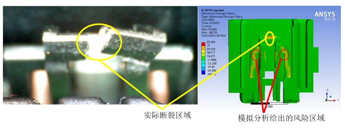 1.webp